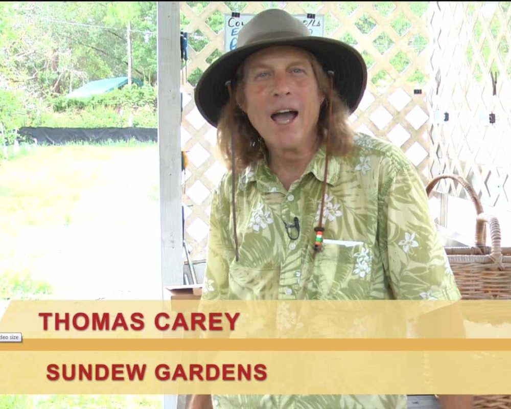 Sundew Gardens